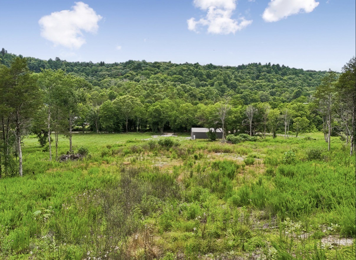 97 Redd Branch Road Fayetteville, TN 37334 - Photo 9 of 11