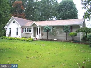 100 Husted Station Road Elmer, NJ 08318 - Photo 1 of 6 Gallery Image 1