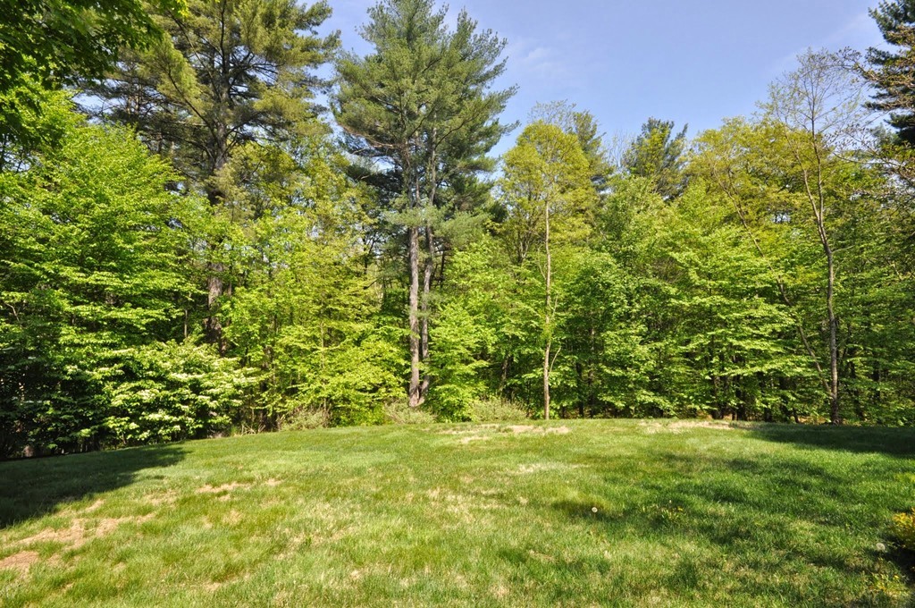 75 Channing Road Concord, MA 01742 - Photo 19 of 19 a view of a garden