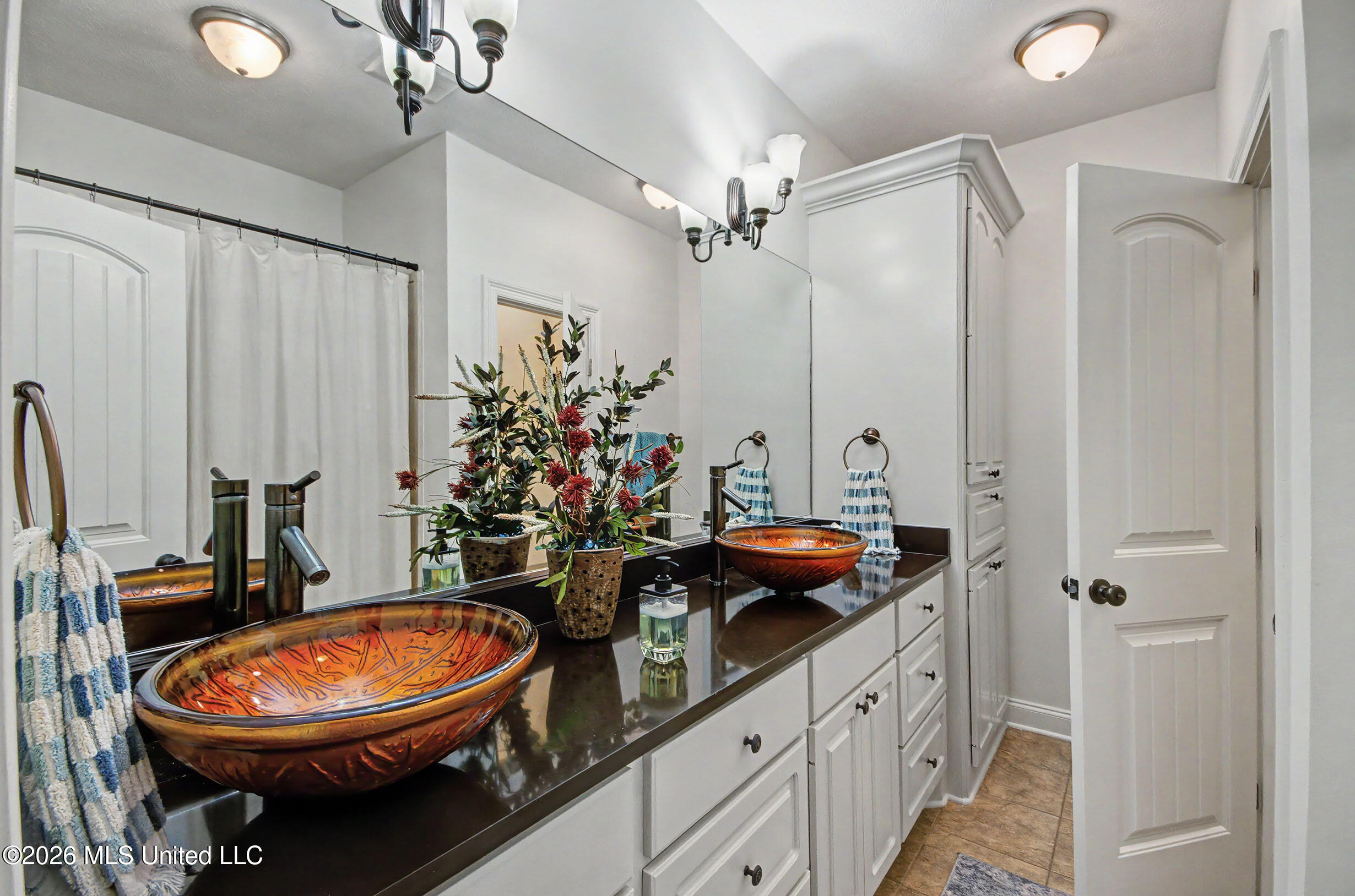 469 Caroline Boulevard Madison, MS 39110 - Photo 27 of 50 IMGP4782_3_4