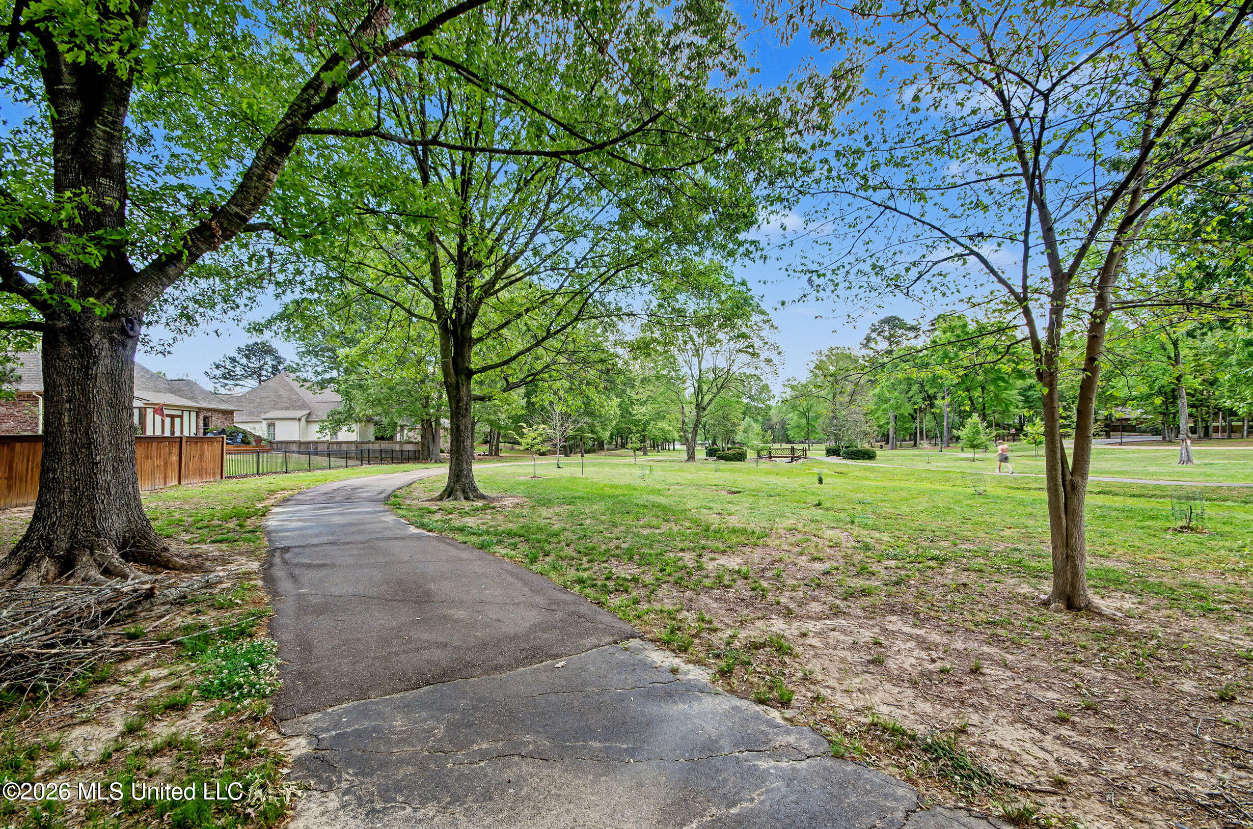 469 Caroline Boulevard Madison, MS 39110 - Photo 48 of 50 IMGP4821_2_3