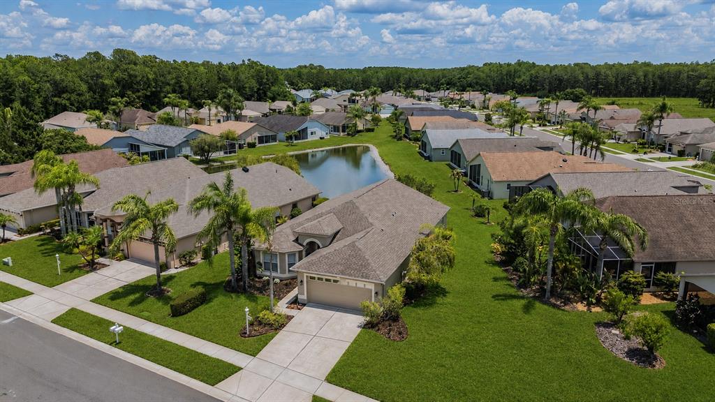 1032 Dustan Place Trinity, FL 34655 - Photo 25 of 51