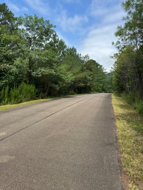 43-44 Reece Mountain Road Ellijay, GA 30536 - Photo 18 of 24 Gallery Image 18