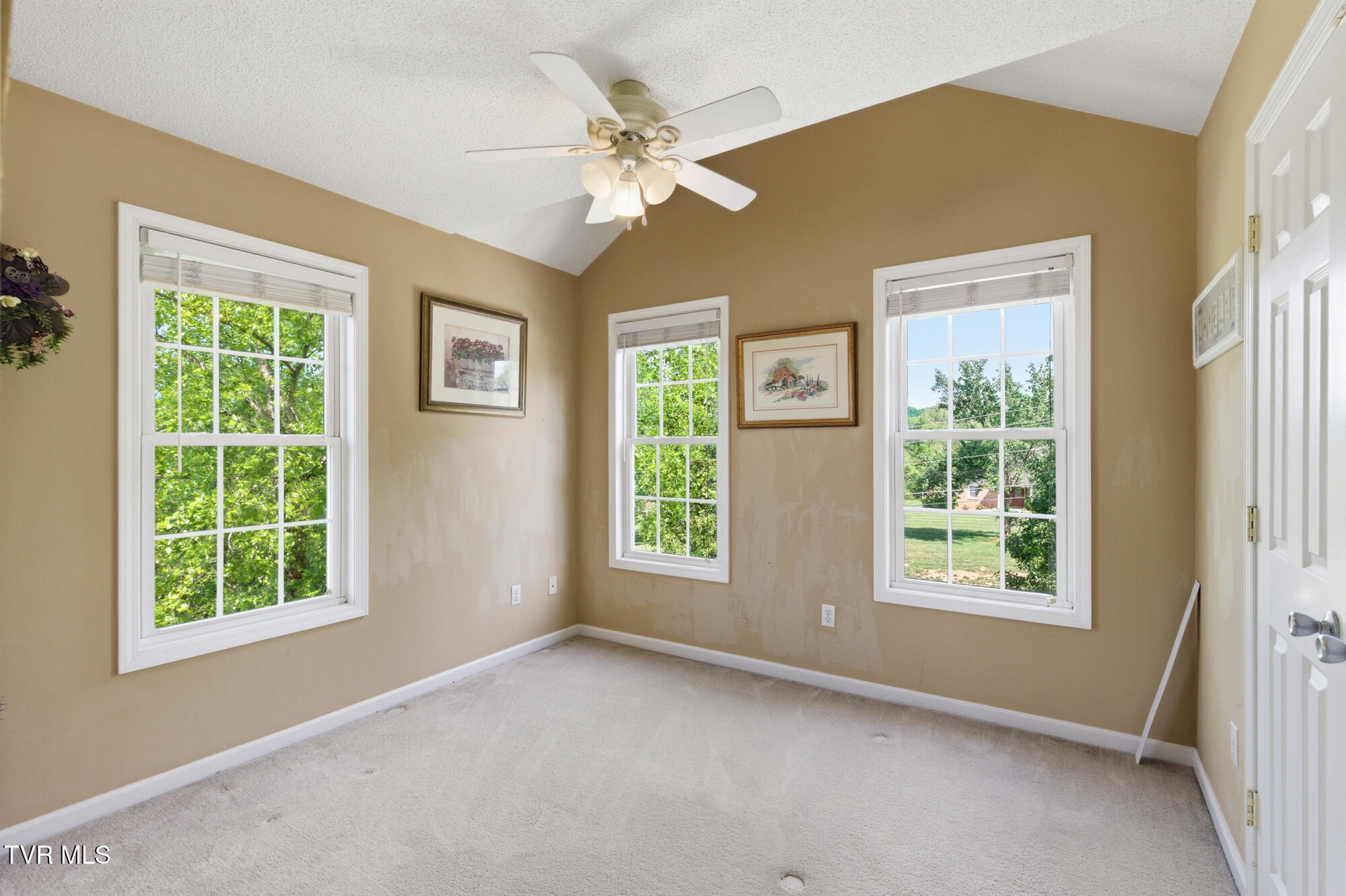 1188 White Top Road Bluff City, TN 37618 - Photo 102 of 125 DSC_8659