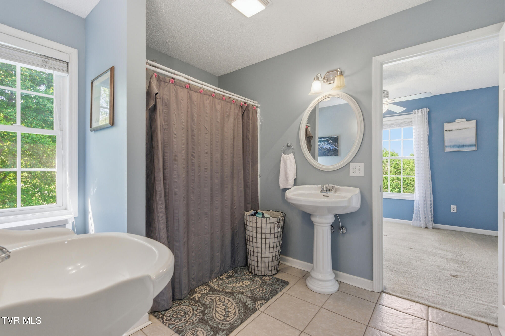 1188 White Top Road Bluff City, TN 37618 - Photo 106 of 125 DSC_8671 copy