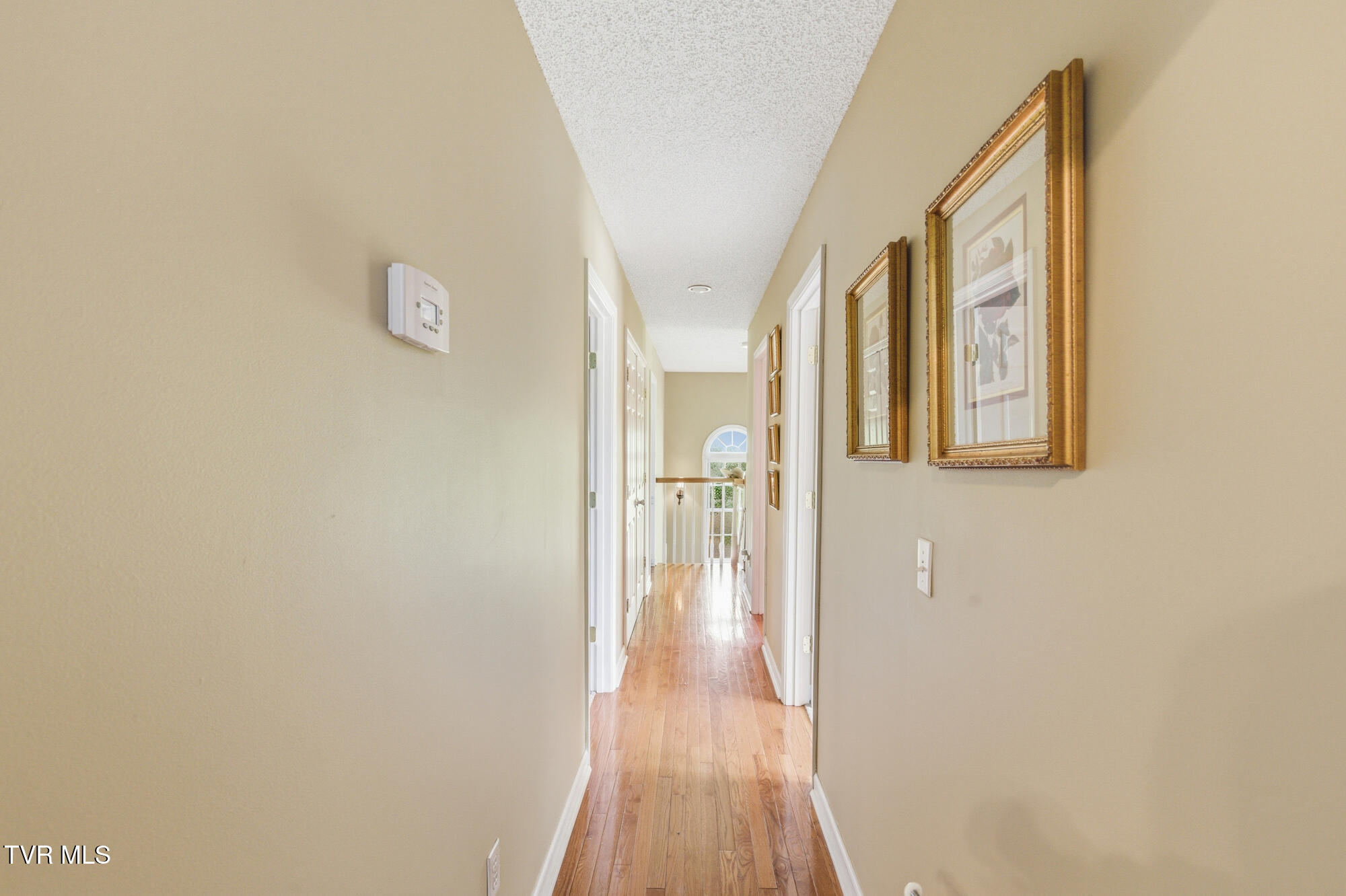 1188 White Top Road Bluff City, TN 37618 - Photo 121 of 125 DSC_8719 copy