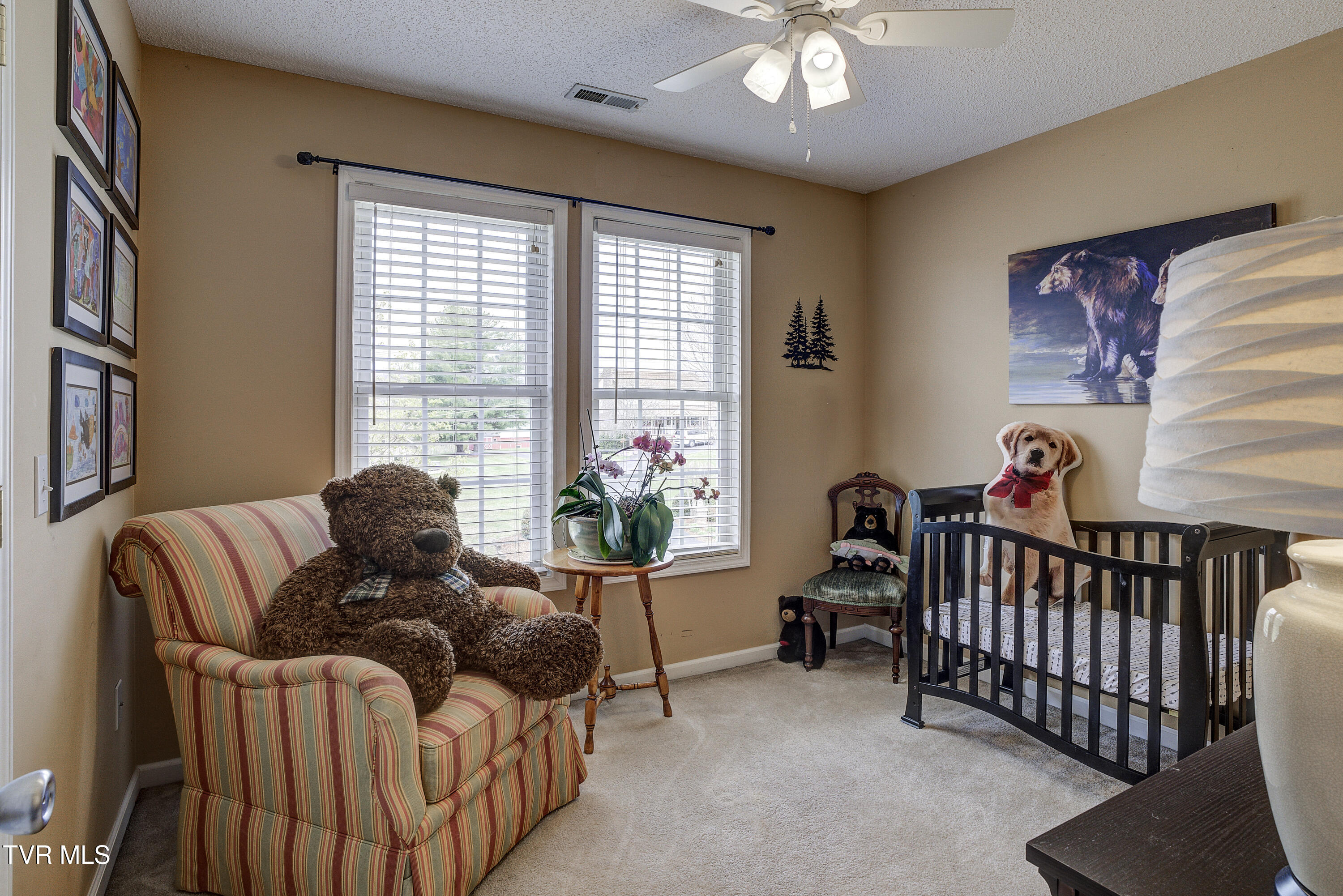 1188 White Top Road Bluff City, TN 37618 - Photo 34 of 76 WhitetopRd--33