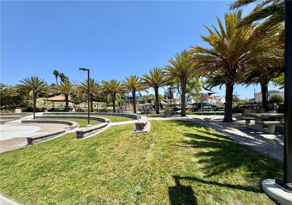 10664 Busch Street Spring Valley, CA 91978 - Photo 13 of 14 a view of an swimming pool with a lawn chairs under palm trees