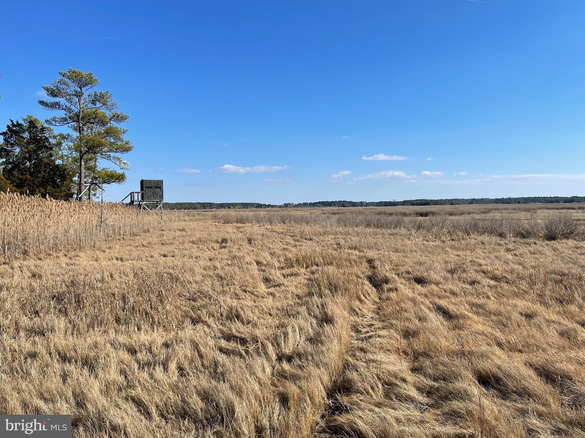 0 Charles Cannon Road Westover, MD 21871 - Photo 22 of 49