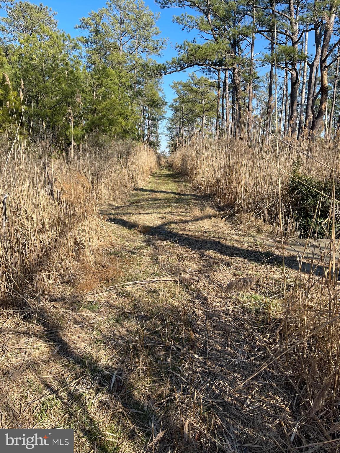 0 Charles Cannon Road Westover, MD 21871 - Photo 29 of 49