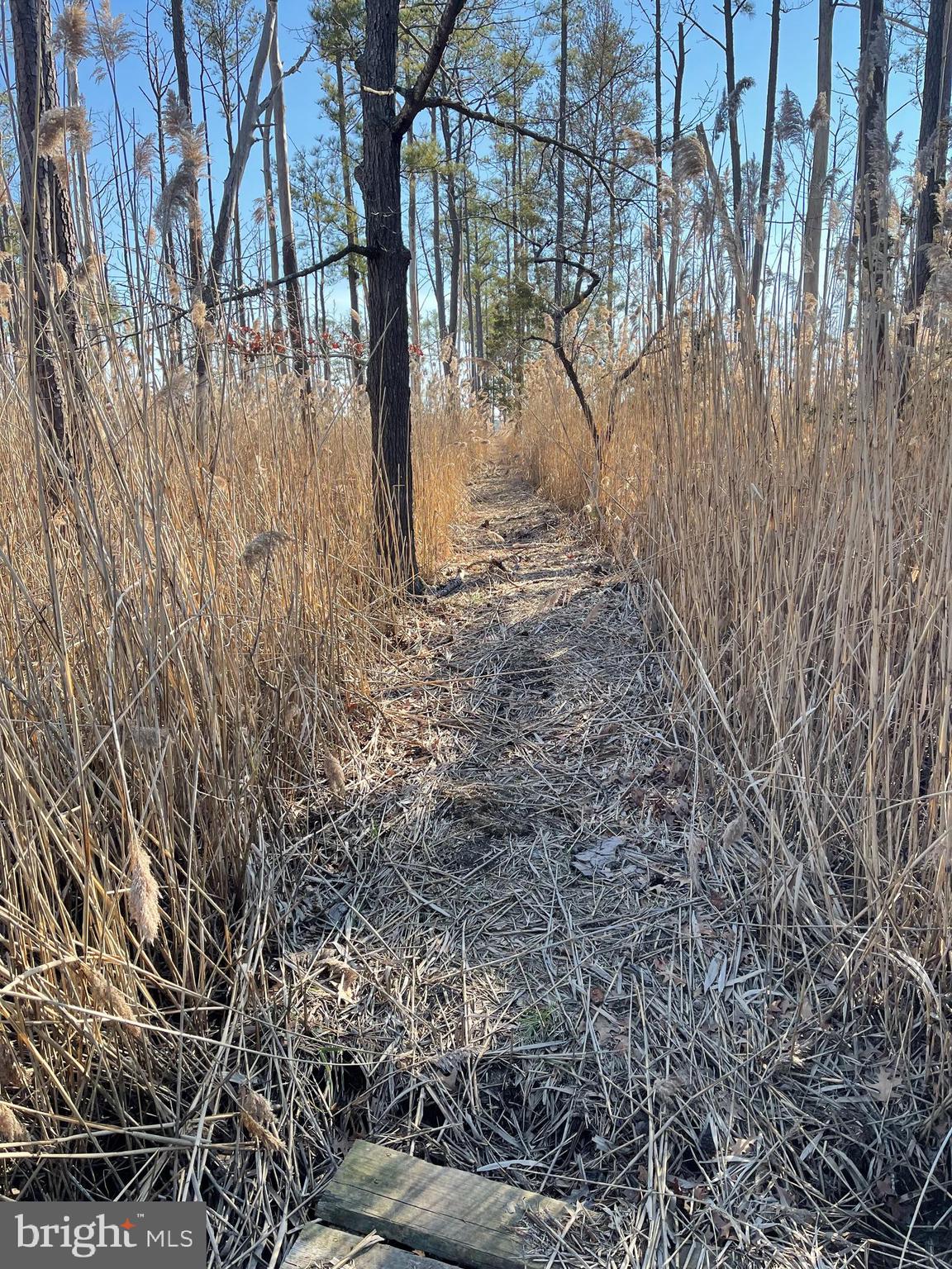 0 Charles Cannon Road Westover, MD 21871 - Photo 35 of 49