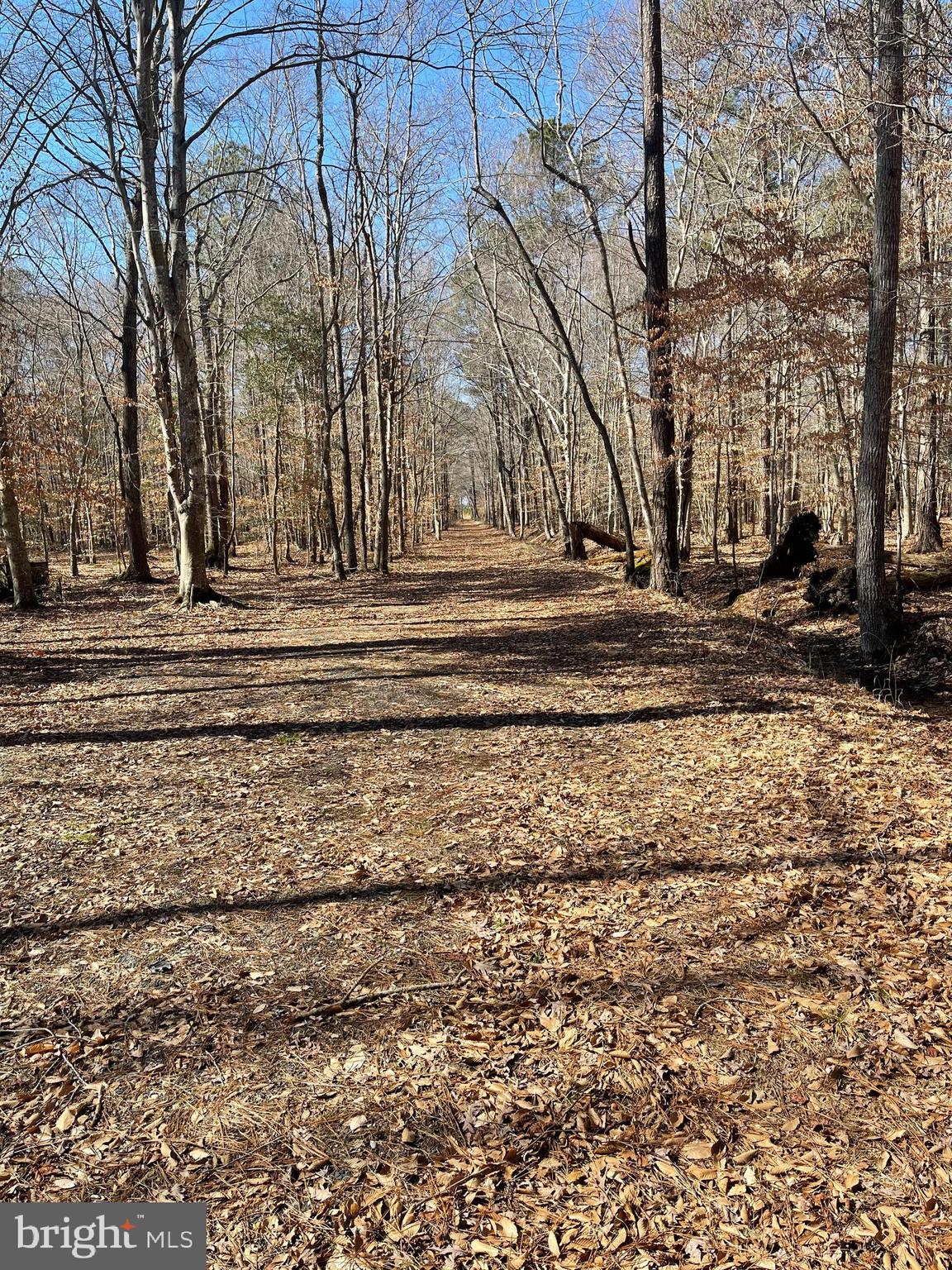 0 Charles Cannon Road Westover, MD 21871 - Photo 4 of 49
