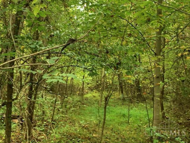 0 Twp Road Willow Wood, OH 45696 - Photo 7 of 9