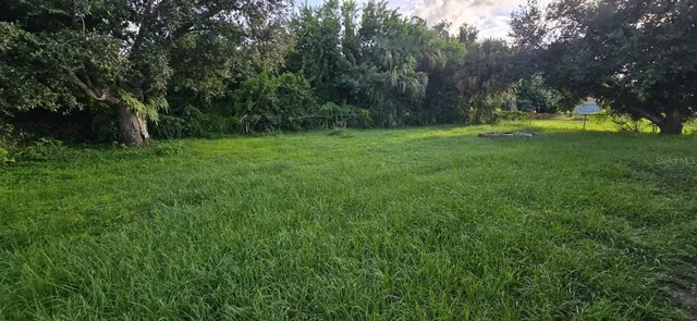 a view of green field with trees in the background