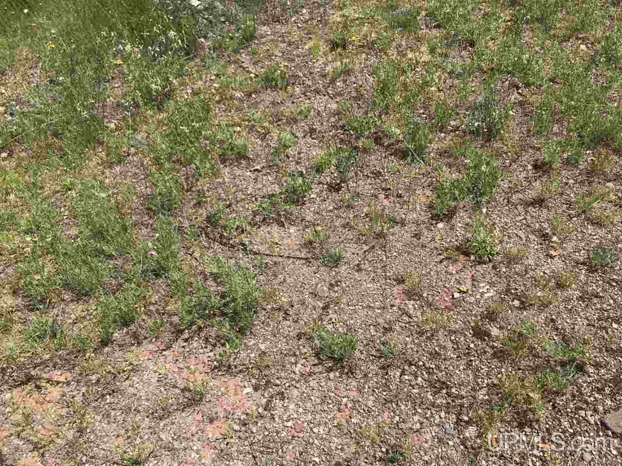 Tbd Off Osma Plat Road Houghton, MI 49931 - Photo 10 of 17