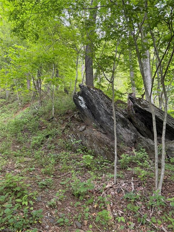 Tbd Ben Bolen Road Creston, NC 28615 - Photo 10 of 22 Gallery Image 10