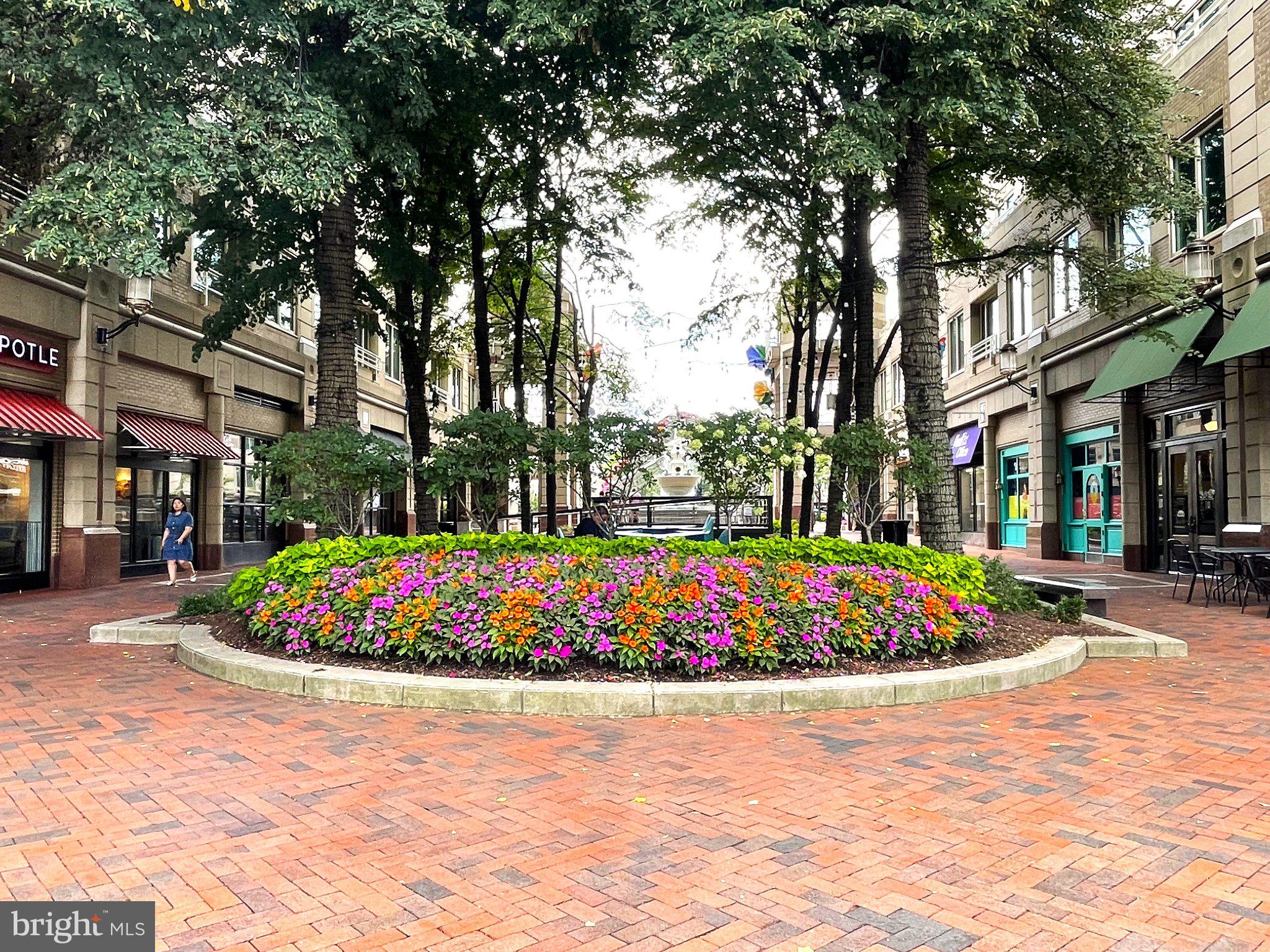 11081 Pelham Manor Place Reston, VA 20194 - Photo 95 of 99 Vibrant blooms in a charming plaza.