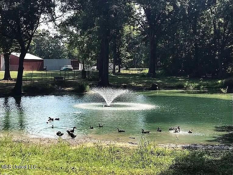 4770 McCracken Road Hernando, MS 38632 - Photo 9 of 26 IMG_0047