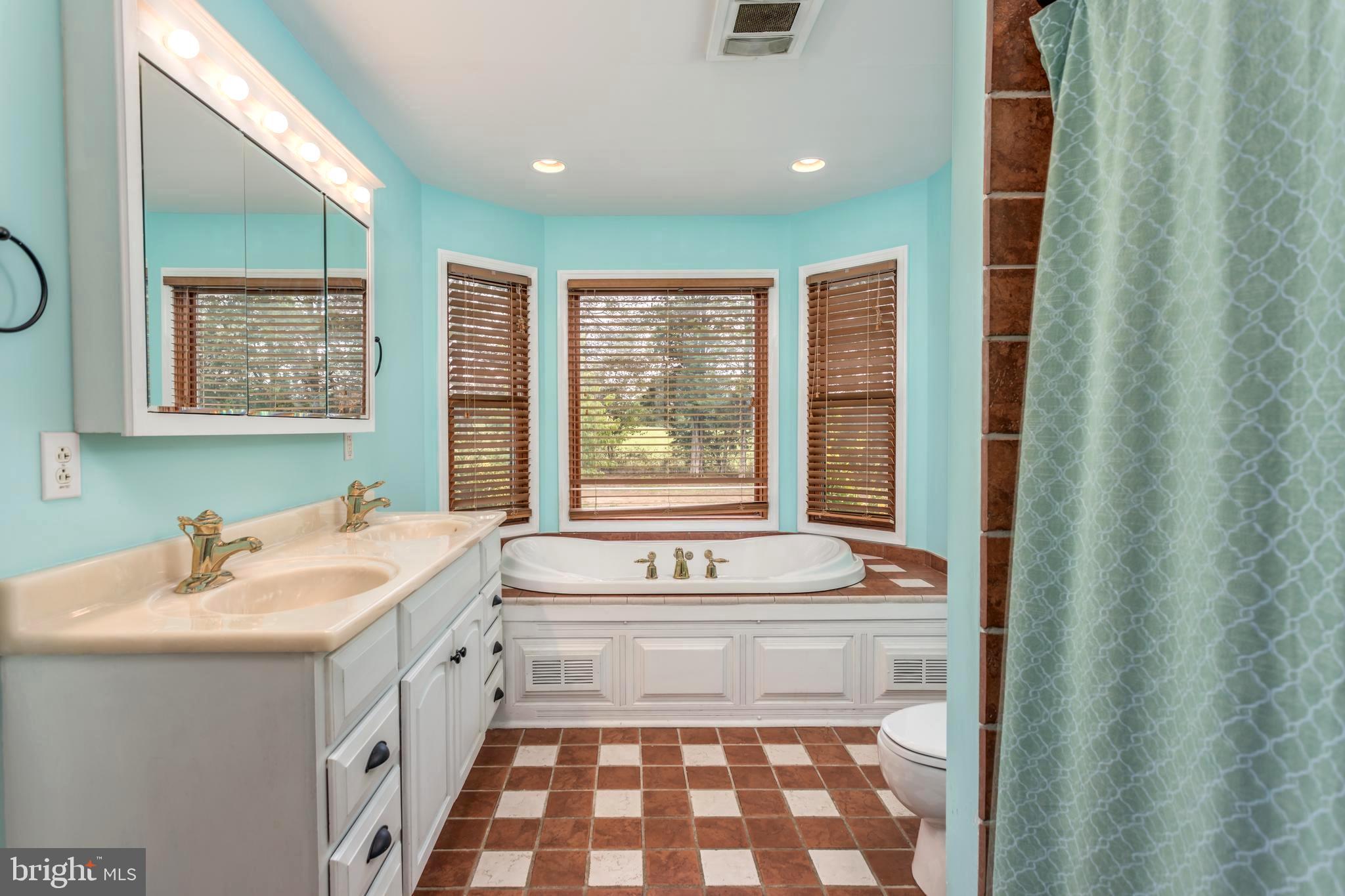 1251 Reliance Road Middletown, VA 22645 - Photo 21 of 53 Beautifully tiled master bath