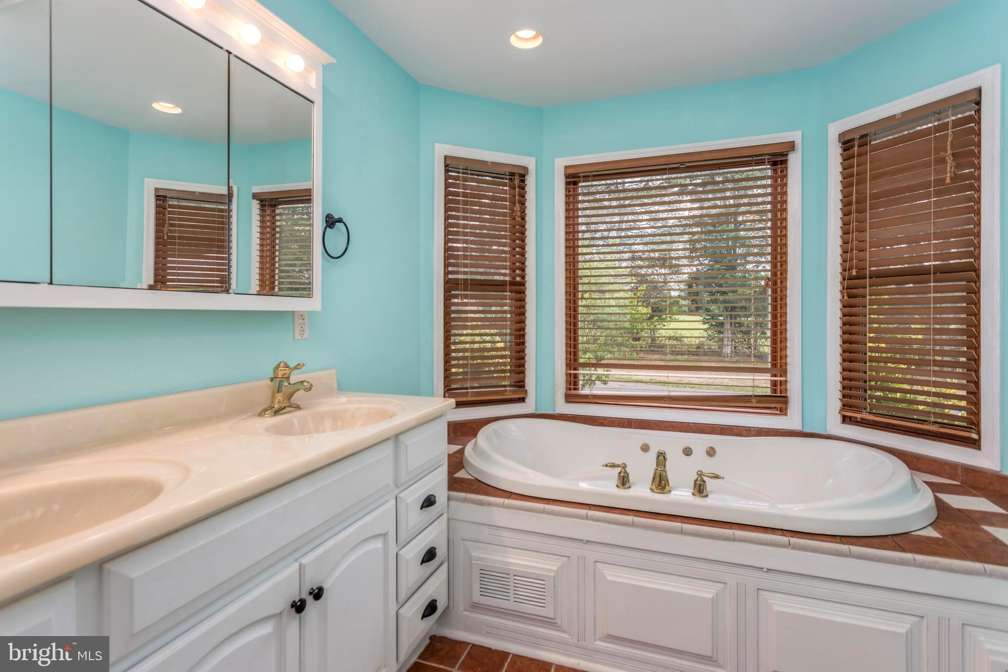 1251 Reliance Road Middletown, VA 22645 - Photo 22 of 53 Double sink in master bath.