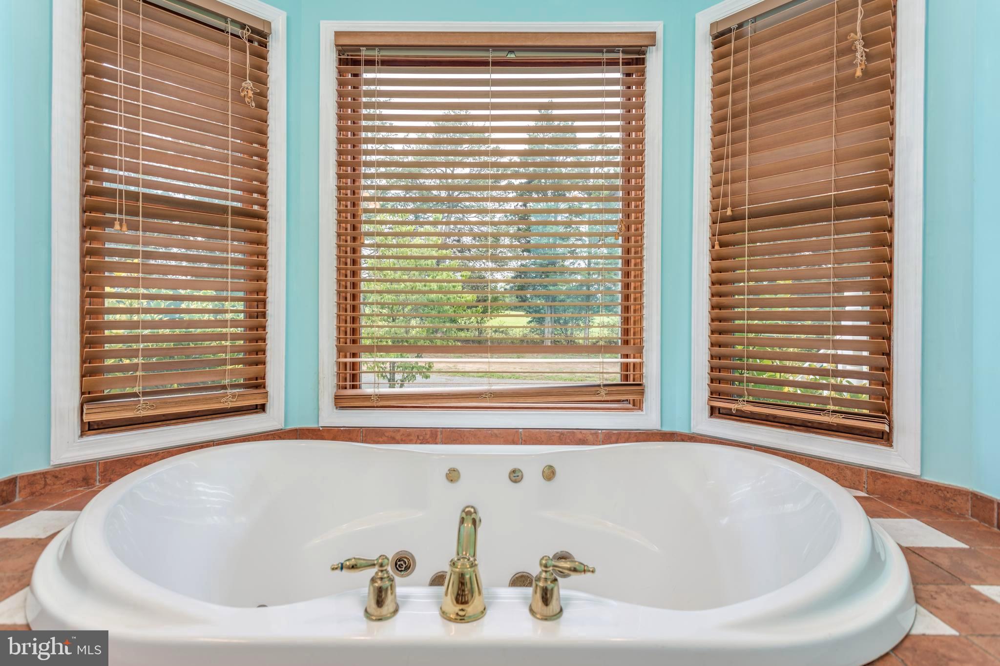 1251 Reliance Road Middletown, VA 22645 - Photo 23 of 53 Large jet tub in master bath.