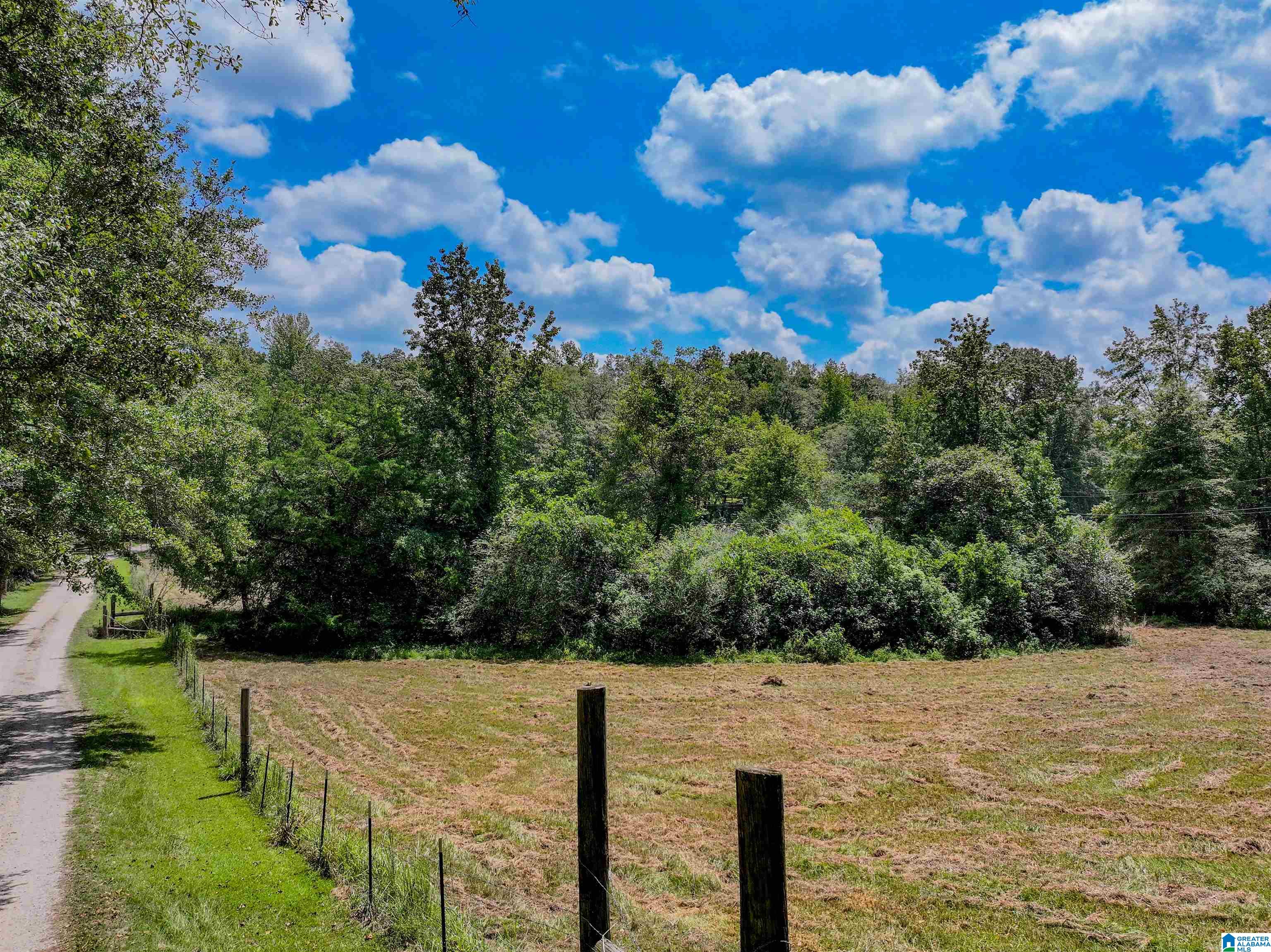 11643 Carter Road Vance, AL 35490 - Photo 10 of 10