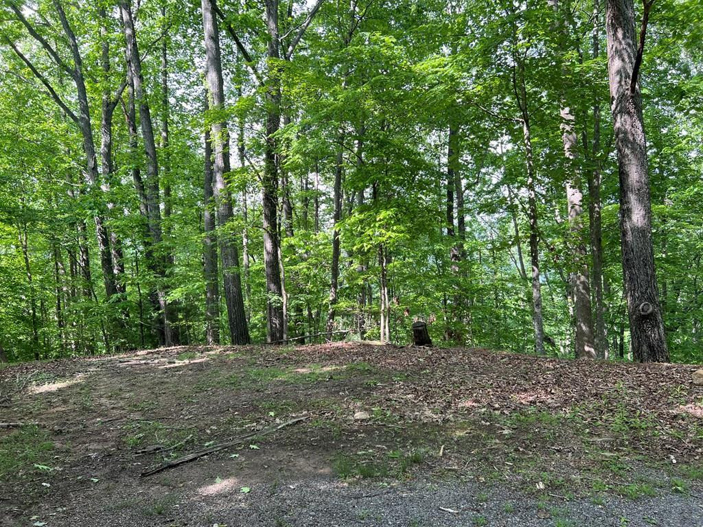 Lot 26 Longview Ridge Hayesville, NC 28904 - Photo 1 of 17 Main View