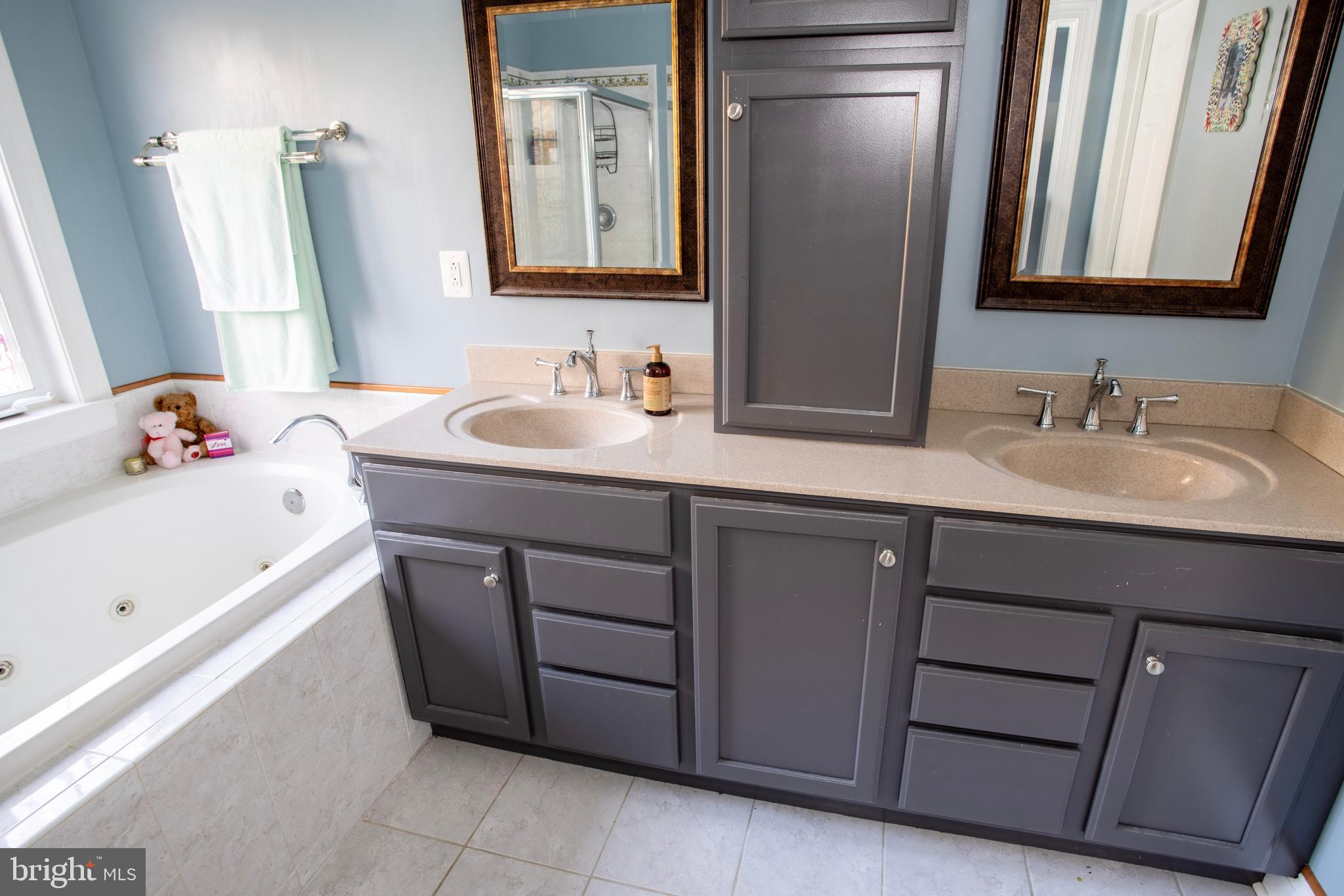 2187 Towles Road Midland, VA 22728 - Photo 13 of 33 The Luxury Master Bath With Double Sink,