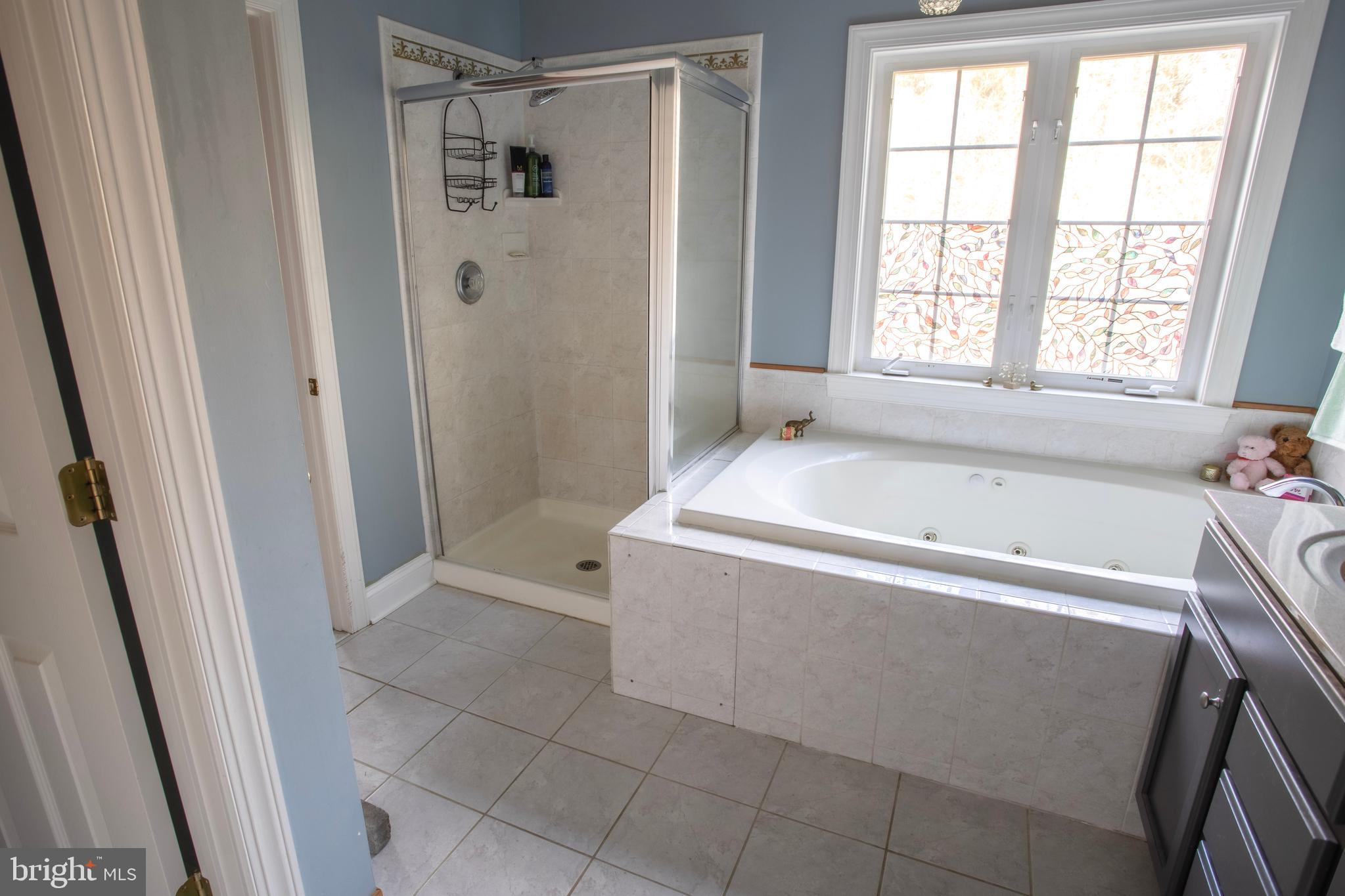 2187 Towles Road Midland, VA 22728 - Photo 15 of 33 Master Bath With Shower and Big Window
