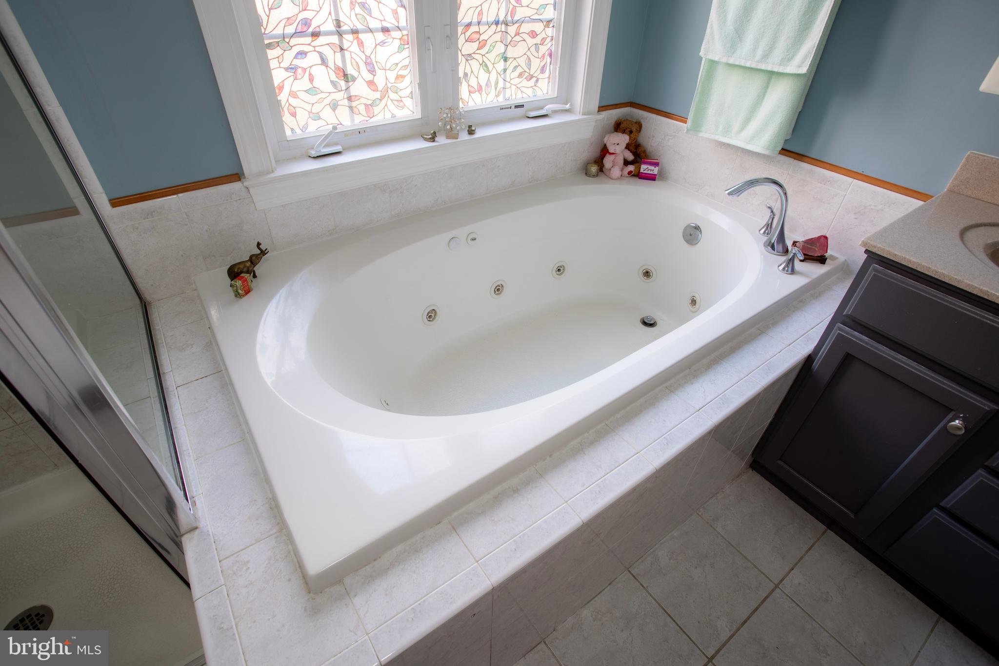 2187 Towles Road Midland, VA 22728 - Photo 16 of 33 Master Bath With Jacuzzi Tub