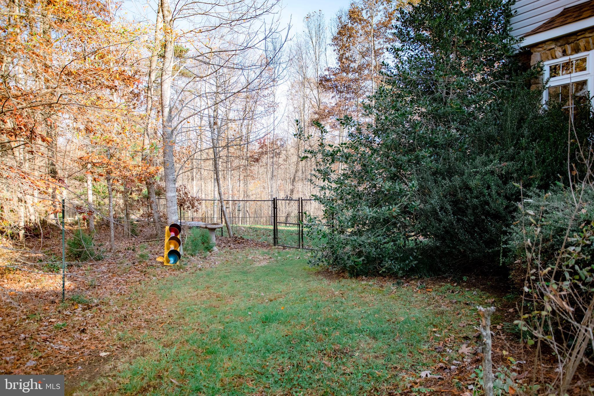 2187 Towles Road Midland, VA 22728 - Photo 31 of 33 Backyard