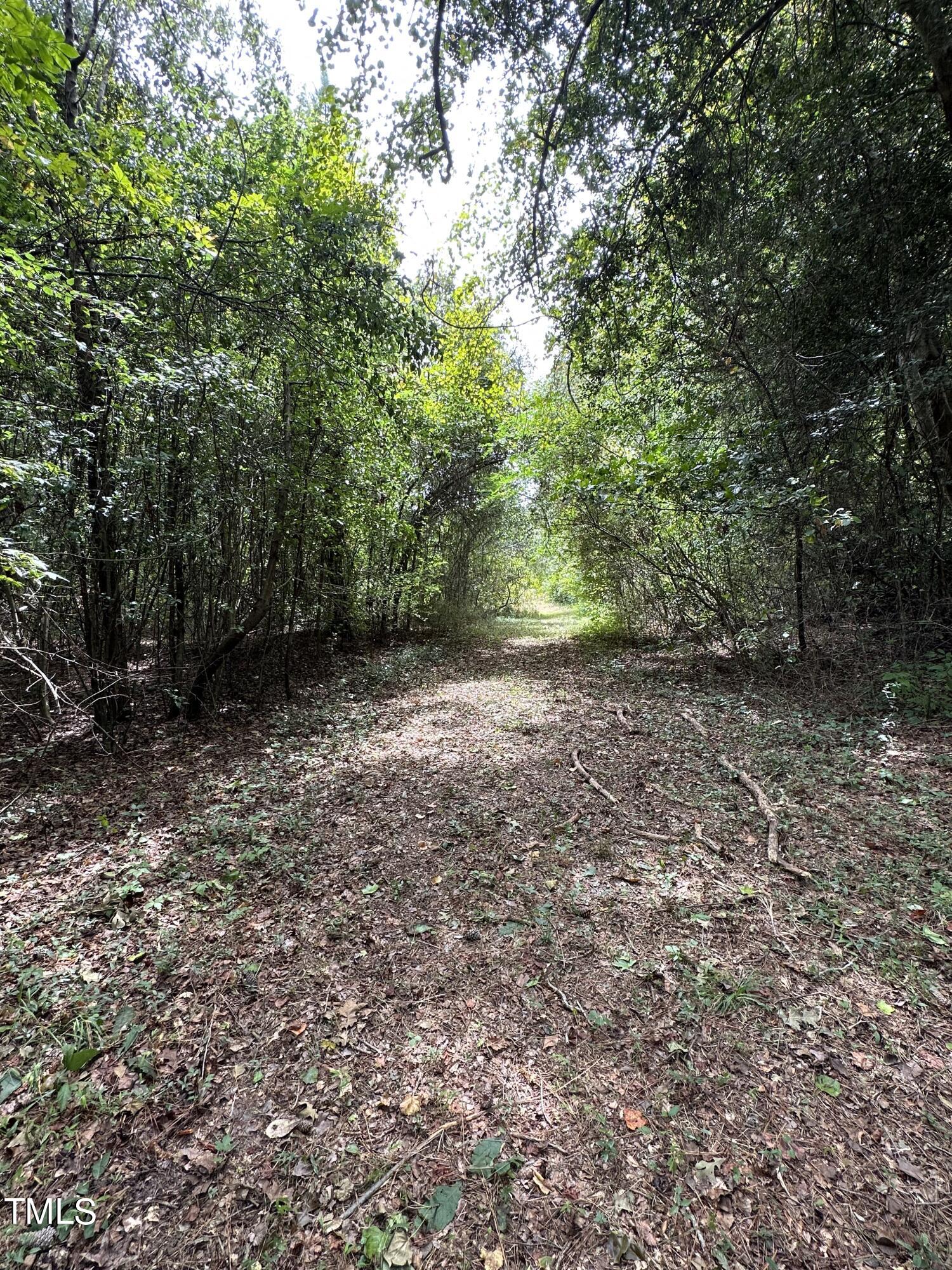 0 Dixon Road Benson, NC 27504 - Photo 11 of 15 a view of a forest with trees in the background