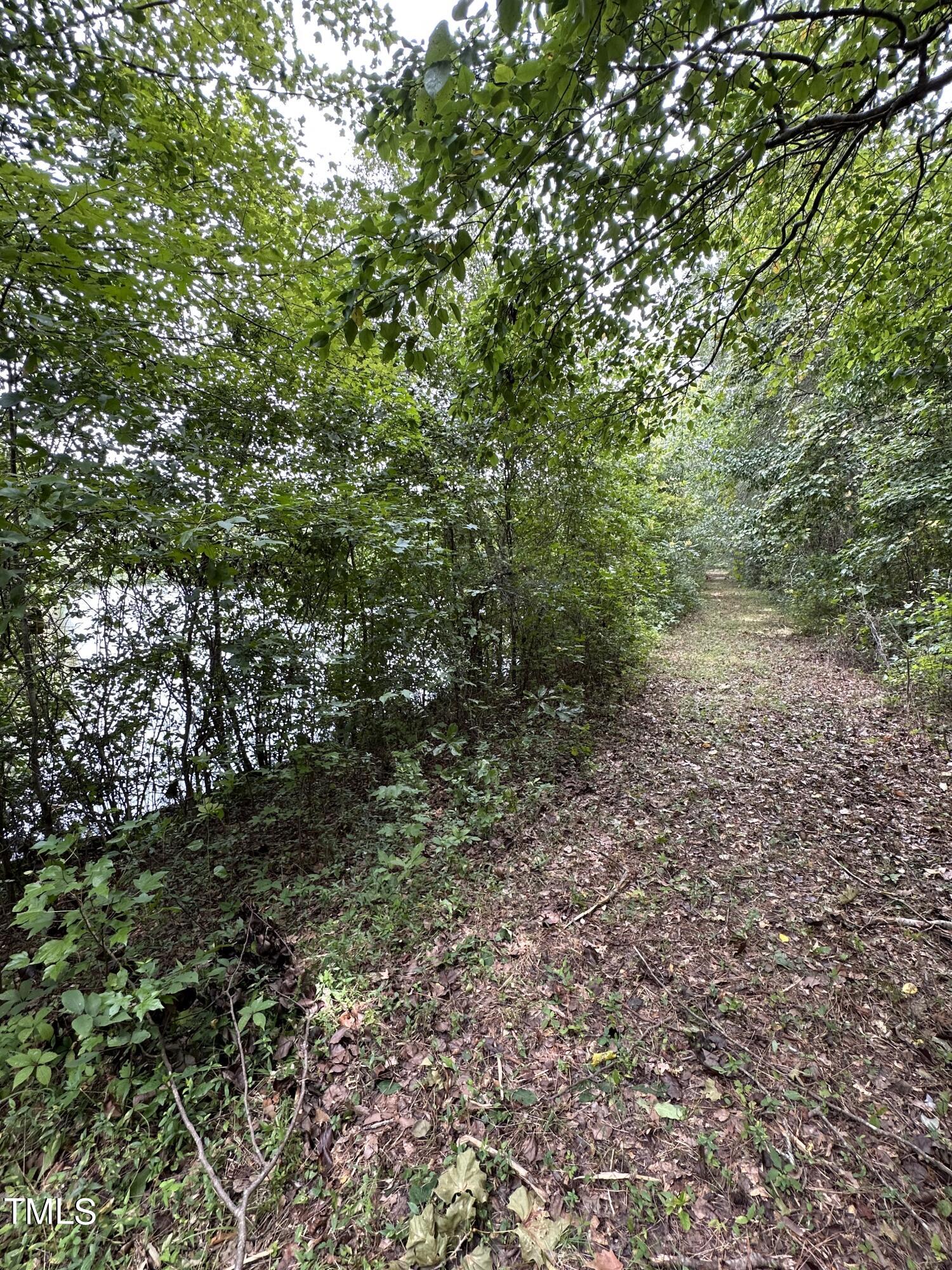 0 Dixon Road Benson, NC 27504 - Photo 12 of 15 a view of a yard with a tree
