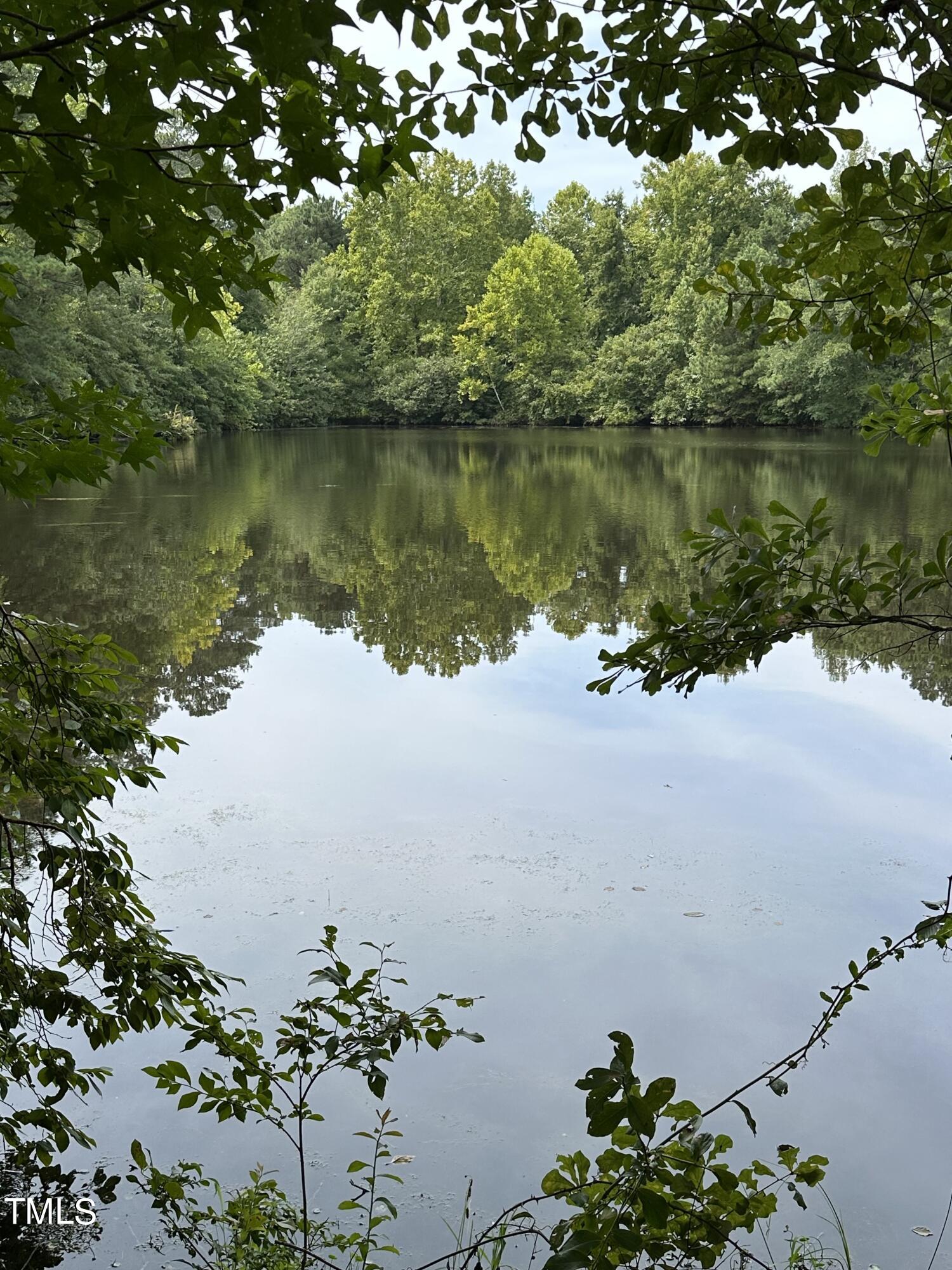 0 Dixon Road Benson, NC 27504 - Photo 14 of 15 a view of a lake with a mountain view