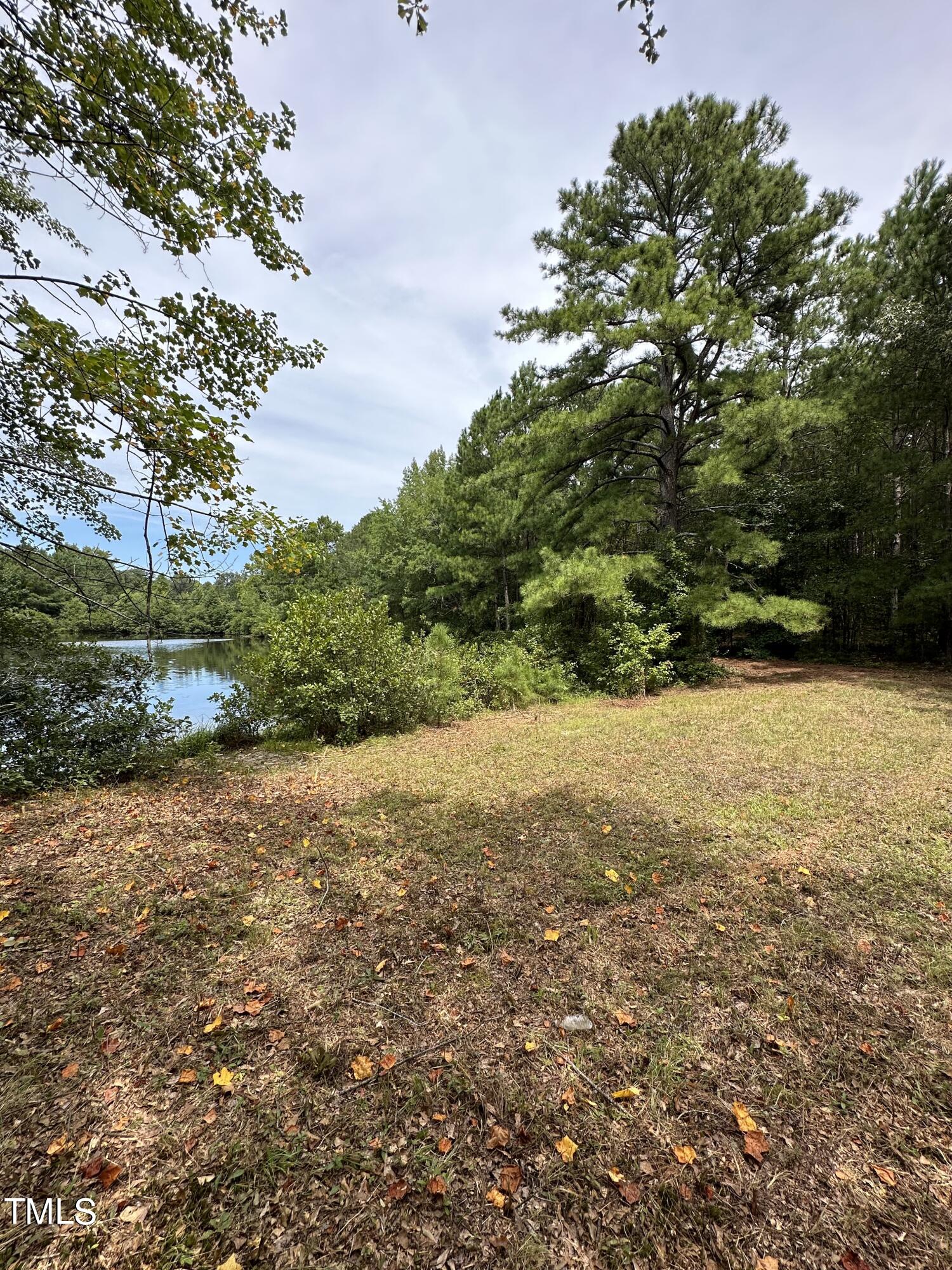0 Dixon Road Benson, NC 27504 - Photo 4 of 15 a view of a yard with a tree