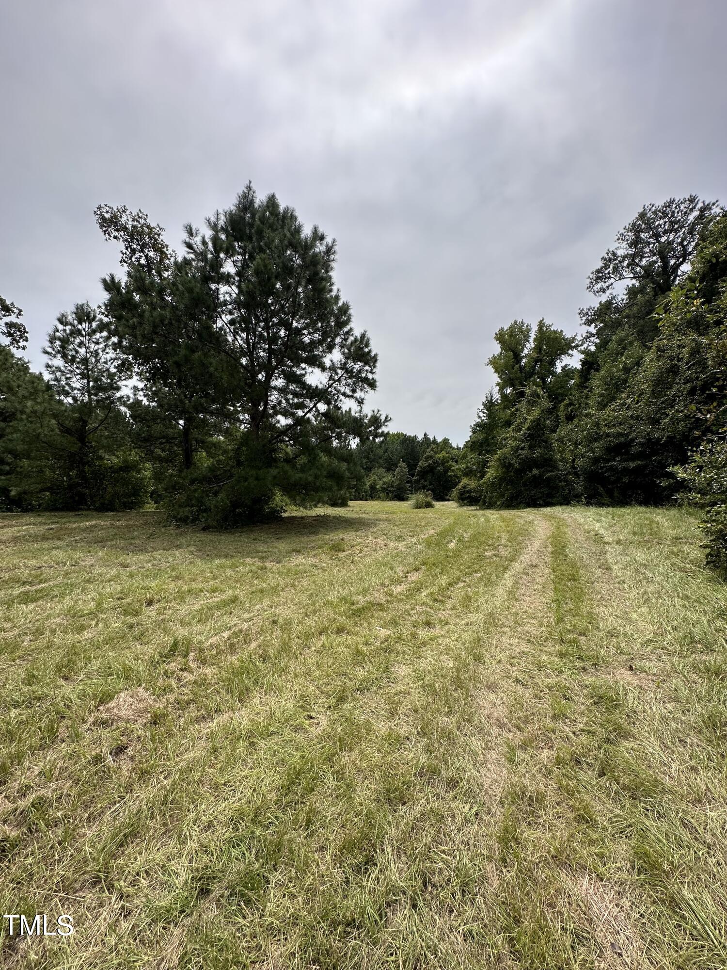 0 Dixon Road Benson, NC 27504 - Photo 7 of 15