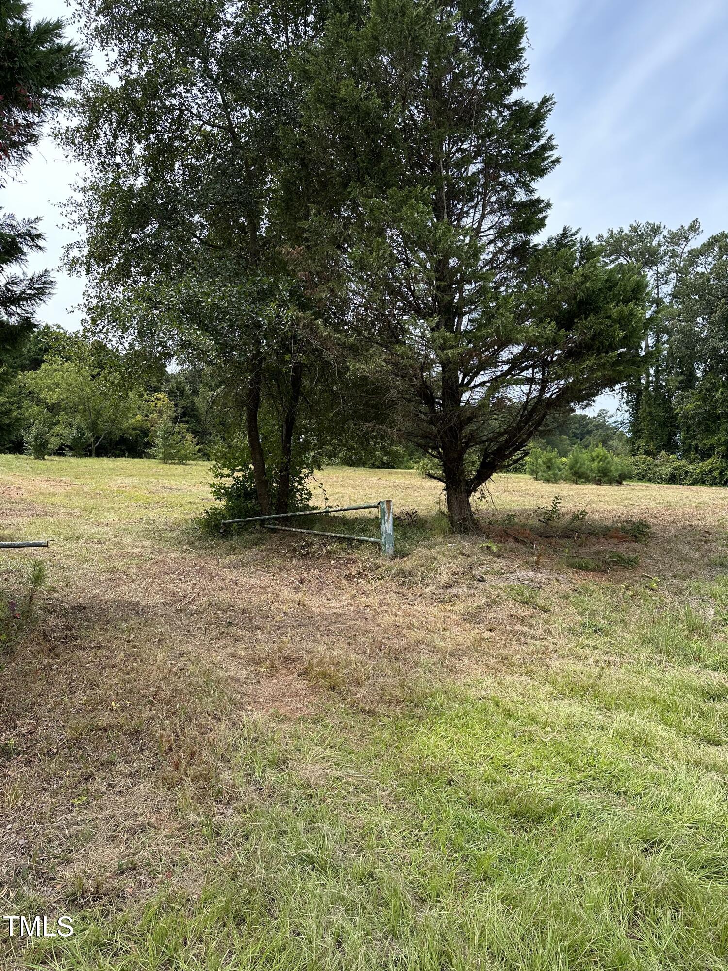 0 Dixon Road Benson, NC 27504 - Photo 9 of 15 a view of yard with trees