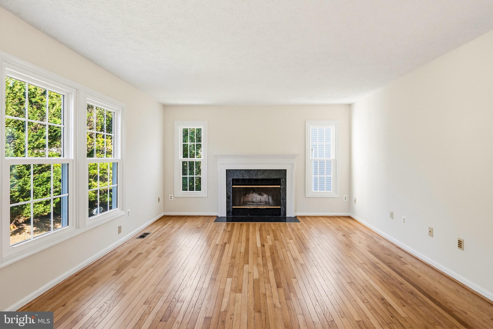 8266 Spring Branch Court Laurel, MD 20723 - Photo 23 of 73 Family room - wood burning fireplace