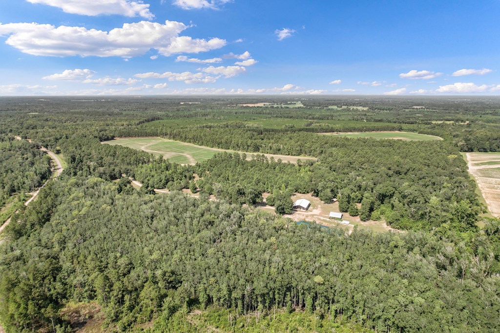 2480 South Springhill Road Gordon, AL 36343 - Photo 104 of 114