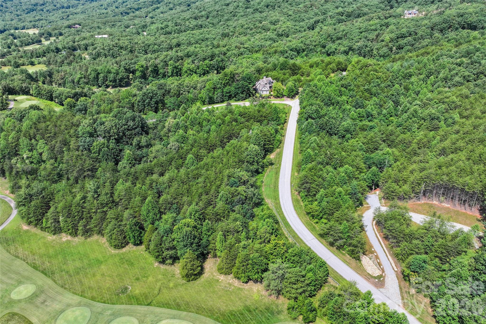 1361 Deep Gap Farm Road East Mill Spring, NC 28756 - Photo 4 of 23