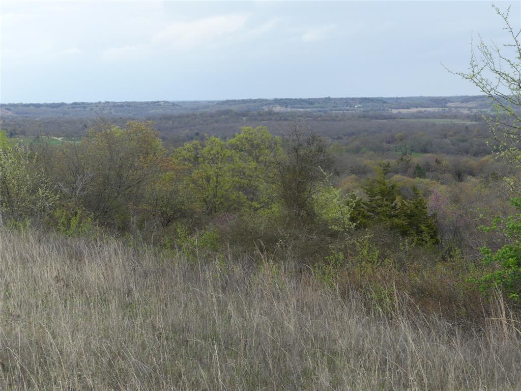 View of local wilderness