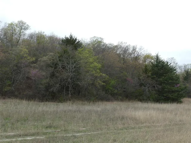 $2,181,125 | Tbd Dye Mound Road, Forestburg, TX 76239