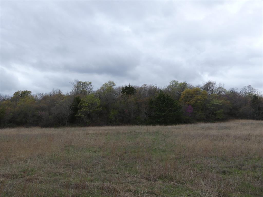 Tbd Dye Mound Road Forestburg, TX 76239 - Photo 15 of 26 View of nature with a view of trees