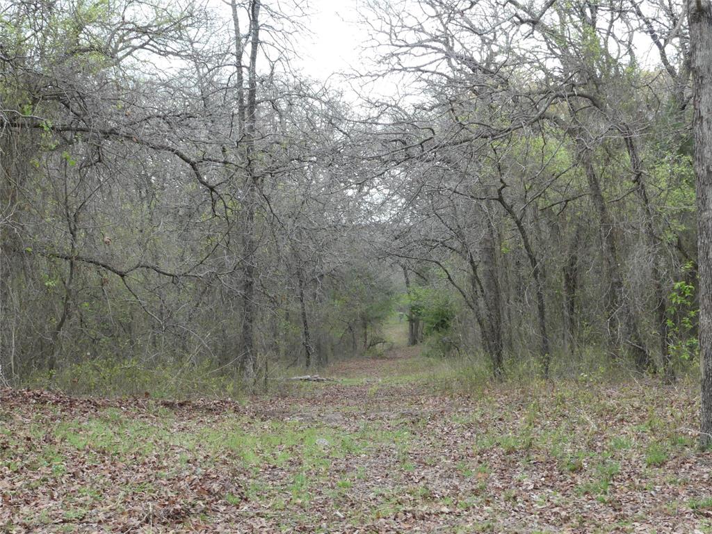 Tbd Dye Mound Road Forestburg, TX 76239 - Photo 16 of 26 View of nature with a wooded view