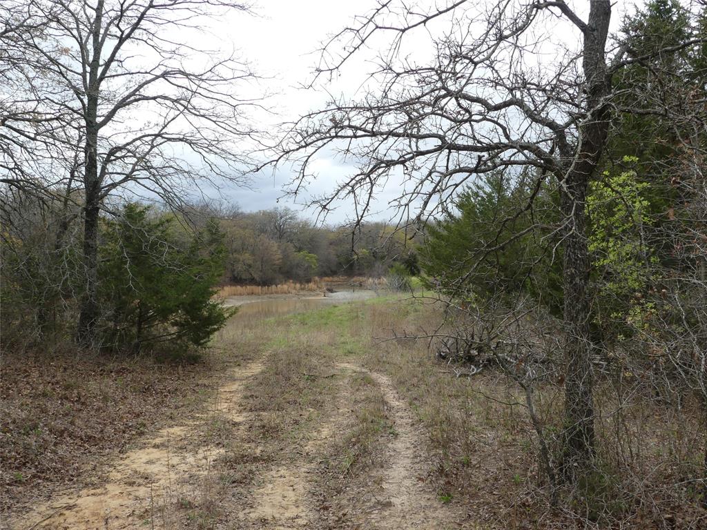 Tbd Dye Mound Road Forestburg, TX 76239 - Photo 2 of 26 View of landscape with a forest view