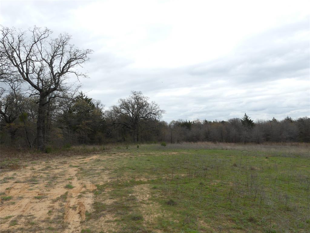 Tbd Dye Mound Road Forestburg, TX 76239 - Photo 7 of 26 View of yard with a forest view