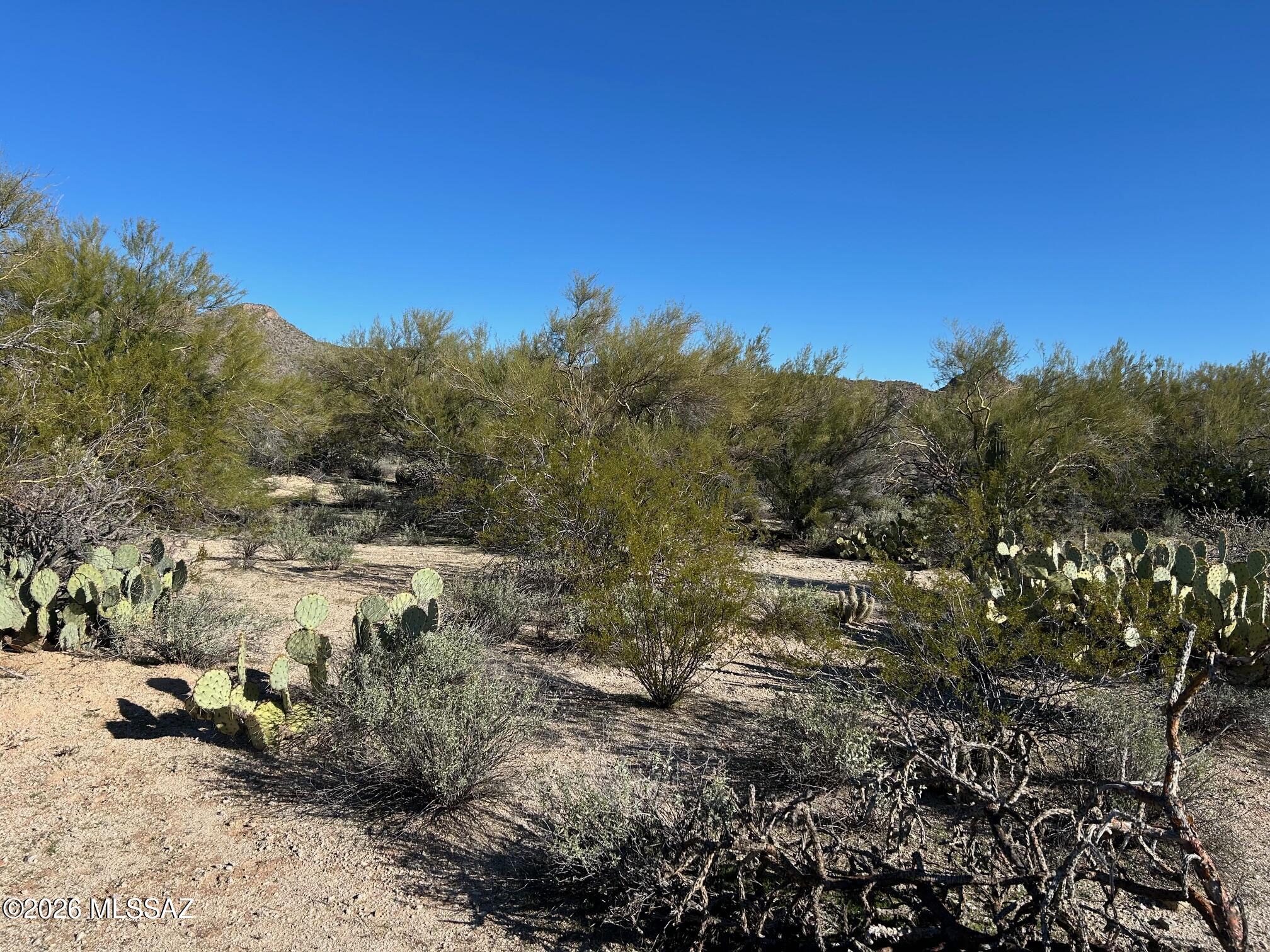 3980 West Moore Road, Unit 2 Marana, AZ 85658 - Photo 8 of 13