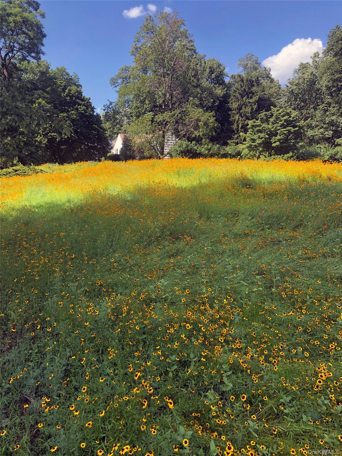 33 Aldridge Road Chappaqua, NY 10514 - Photo 37 of 42