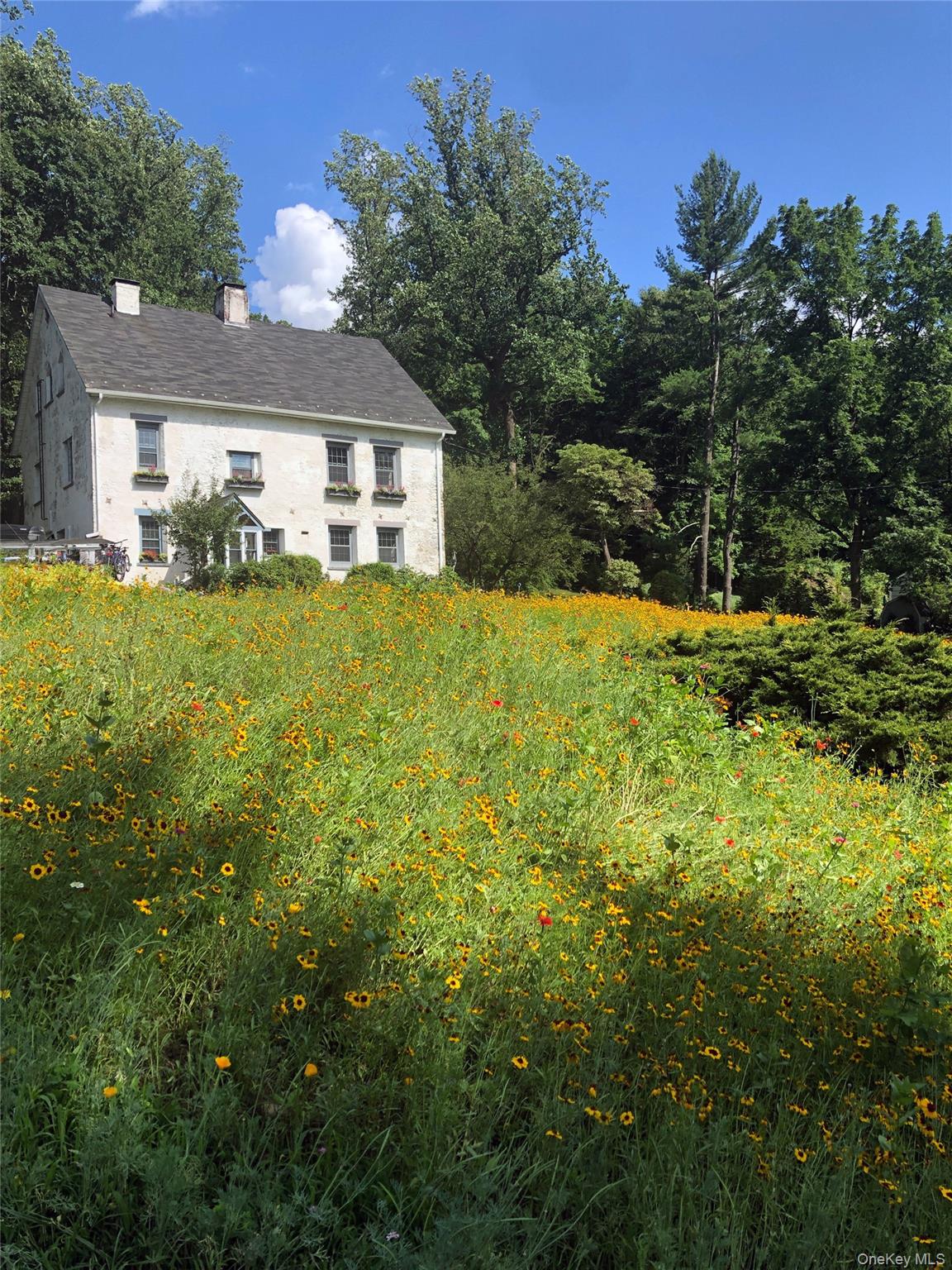 33 Aldridge Road Chappaqua, NY 10514 - Photo 38 of 42