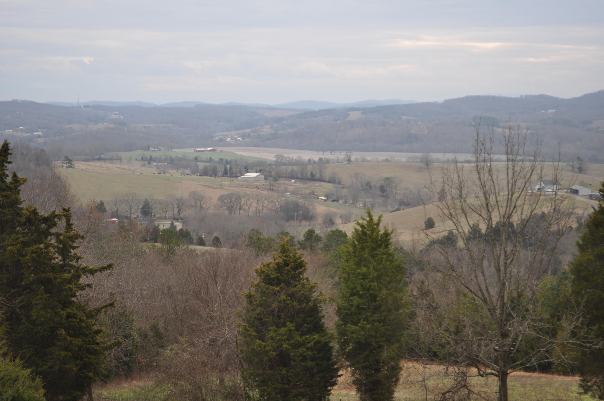 400 Burkhart Road Rutledge, TN 37861 - Photo 7 of 33 a view of lake with mountain